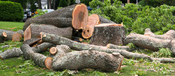 Best Firewood Processing and Delivery  in Neenah, WI